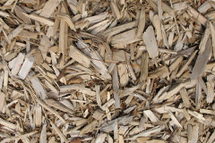 biomass boilers Cambuslang